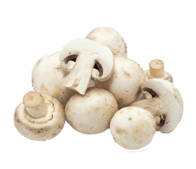 Mushrooms
